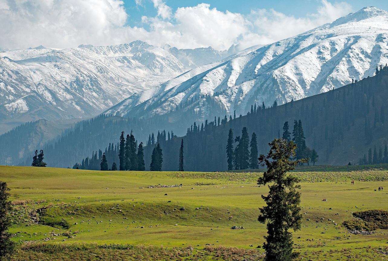 darshan-chudasama-rvIGtbhG_ks-unsplash 34
