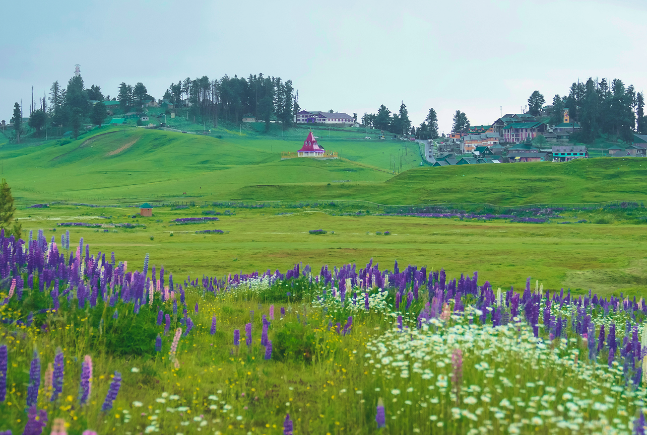 darshan-chudasama-rvIGtbhG_ks-unsplash 35