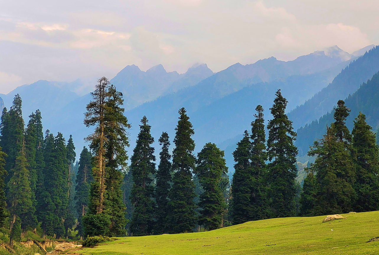 darshan-chudasama-rvIGtbhG_ks-unsplash 40